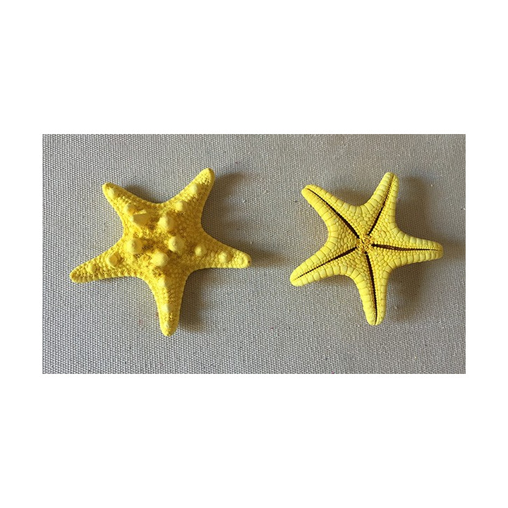 Etoile de Mer Rhino Colorée Jaune 5/7cm lot de 100