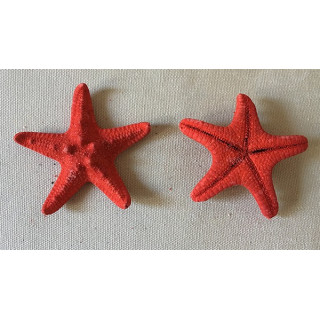 Etoile de mer Rhino colorée rouge 5/7cm lot de 100
