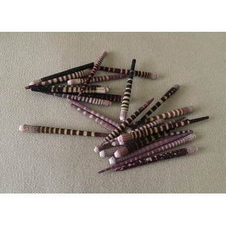 Tiger sea urchin quills (25p lot)
