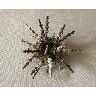 Sputin Sputnik Piquants Thick 6/7cm lot of 6