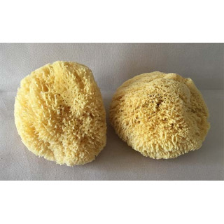 Natural Mediterranean sponge 12.5/15cm by 3