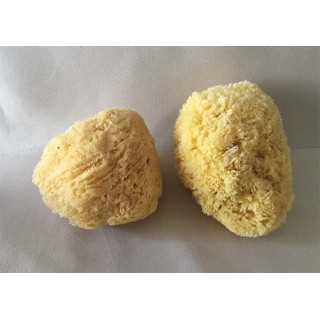 Eponge Naturelle de Méditerranée 15/17cm lot de 3
