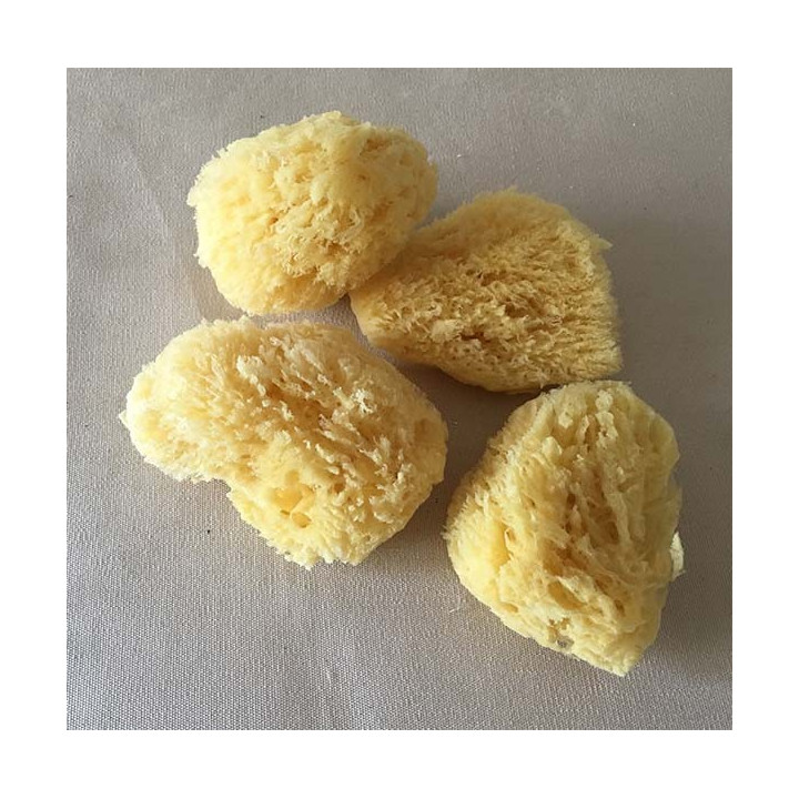 Natural Mediterranean Sponge 7.5/10cm batch of 12