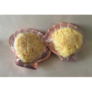 Toilet Sponge in Shell Lot of 6