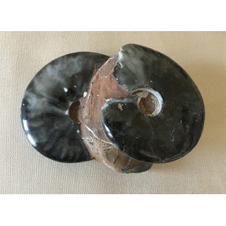 Double ammonite cleoniceras 700grs - 146mm