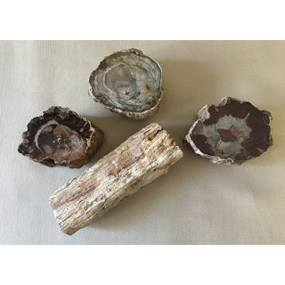 Fossilized pieces of wood (Madagascar) 200 to 900grs (sold per kilo)