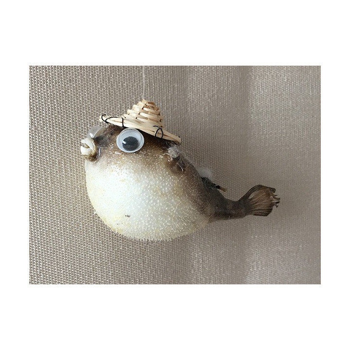 Diodon Perroquet 5cm lot de 12