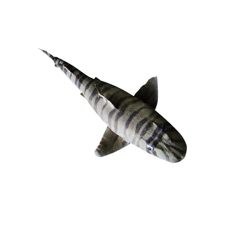 Requin Zèbre 69/75cm lot de 1