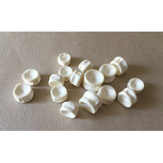 Vertebre de Squale 2/3cm lot de 25