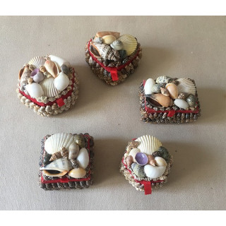 Jewelry Matching Shells Box 5/6cm lot of 50