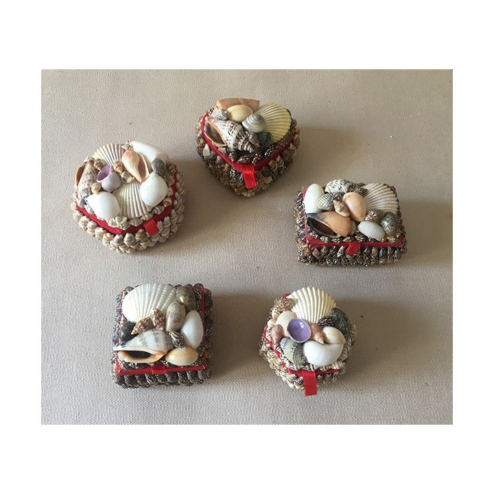 Jewelry Matching Shells Box 5/6cm lot of 50