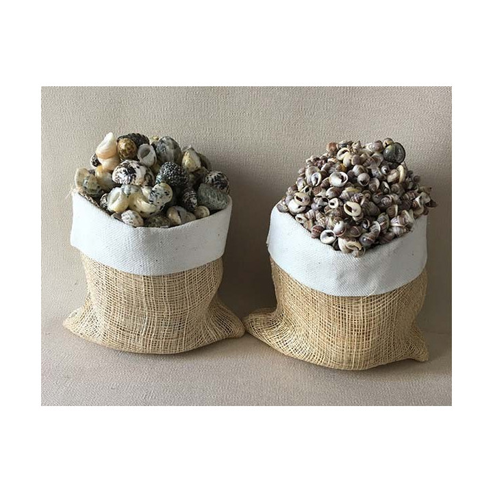 Mini Raphia Bag filled with Shells 11cm lot of 6