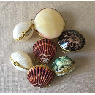 Bourse Coquillages Assorties lot de 25