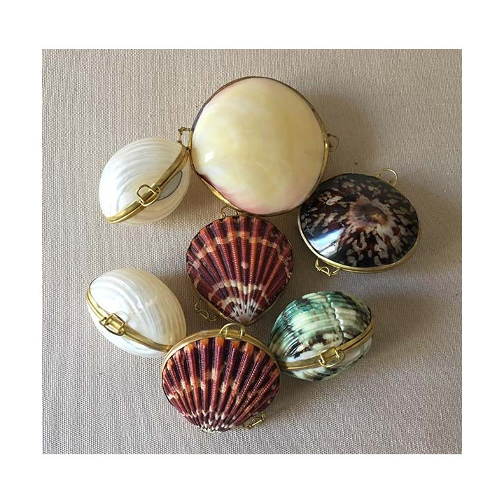 Bourse Coquillages Assorties lot de 25