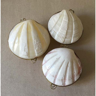 Polipolished codakia stock exchange 7/8cm by 12