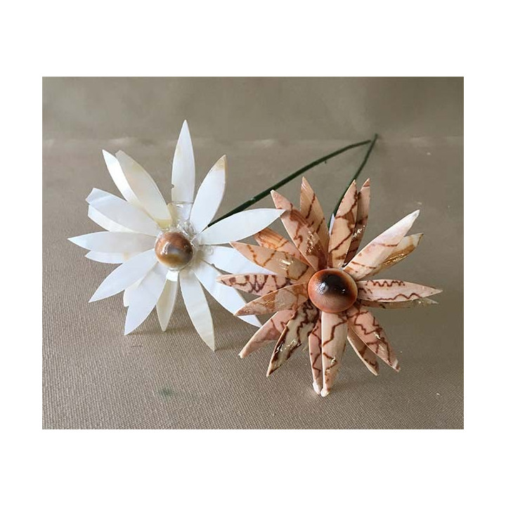 Sun Flower 2 Matching Colors 40cm lot of 6