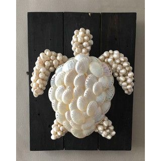 Abalone Turtle Nacrée to Hang Lot of 1
