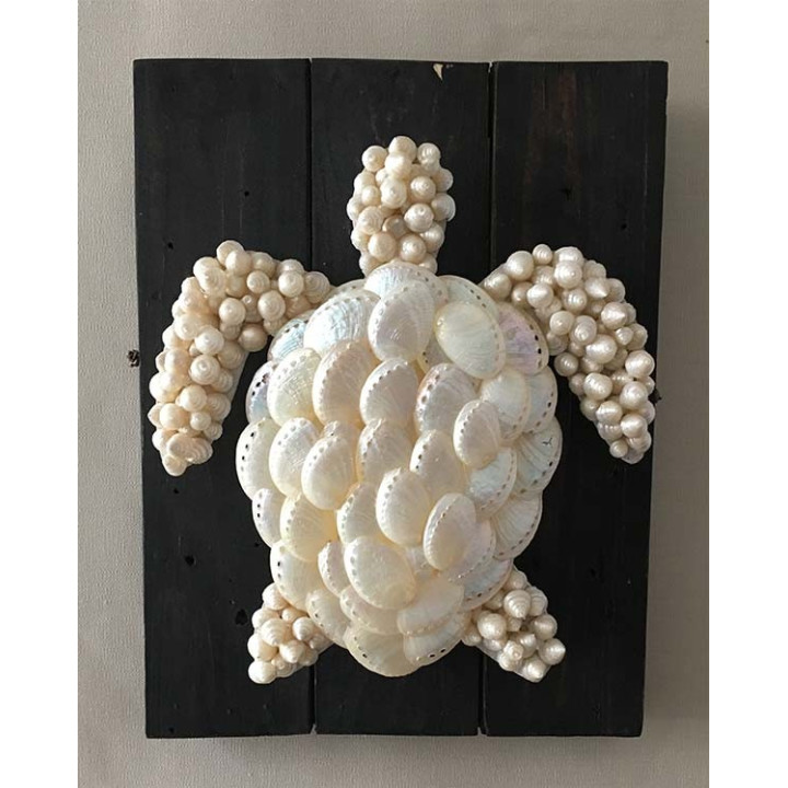 Tortue Abalone Nacrée à Accrocher lot de 1