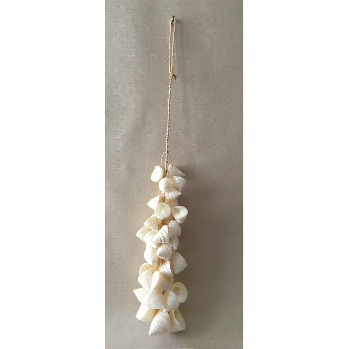 Braid trocha Nacrée 30cm lot of 3