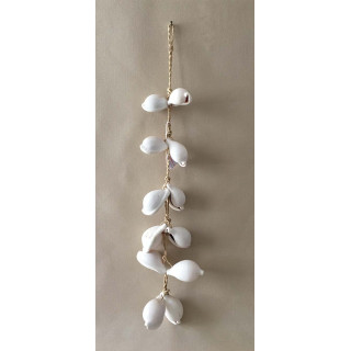 Braid Ovula Ovum 30cm lot of 2