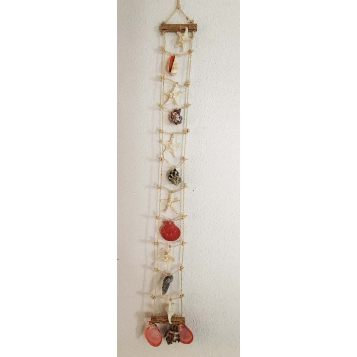 Shellfish Scale - Sea Stars 80x8cm lot of 6