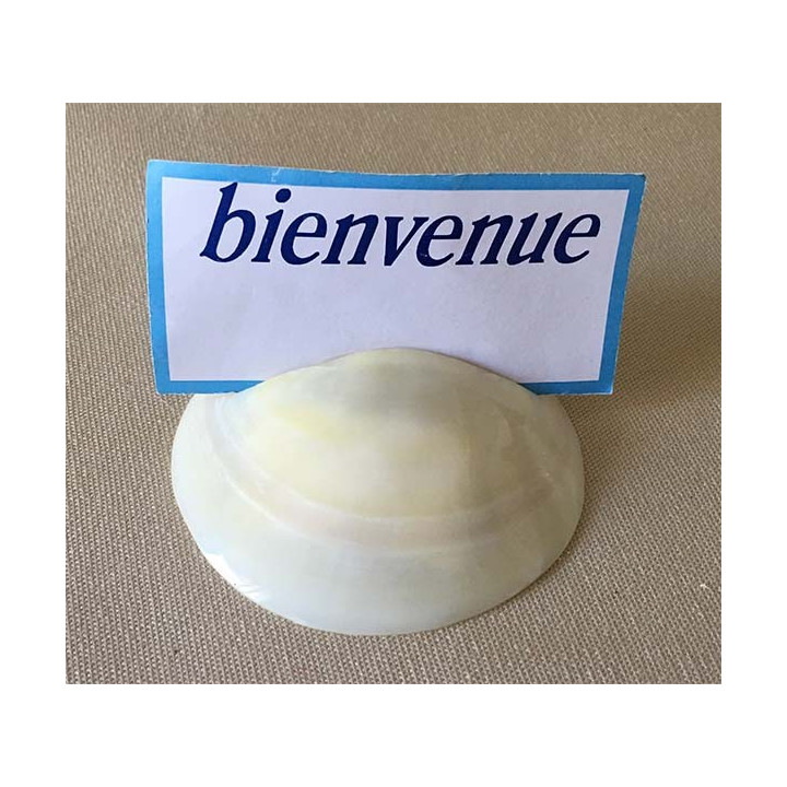 Codakia Polie Porte Message lot de 6