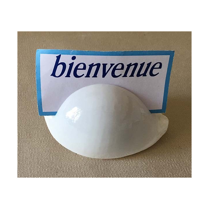 Ovula Ovum Porte Message lot de 6