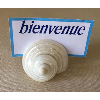 Turbo Nacre Porte Message lot of 6