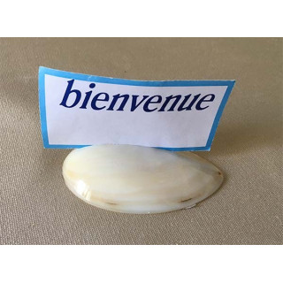 Nacrée Mould Porte Message lot of 6