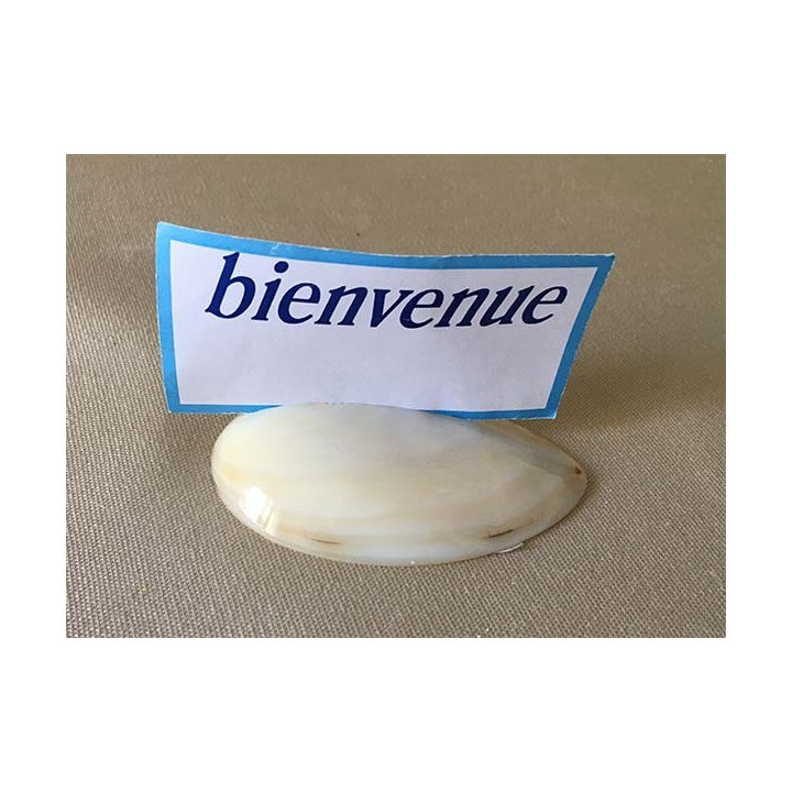 Nacrée Mould Porte Message lot of 6