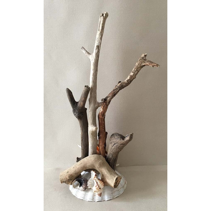 Ensemble bois flotté sur Base Coquillages 38/40CM par 3