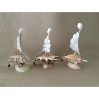 Boat base Lambis/Strombe 1 Sail Nacré lot of 12