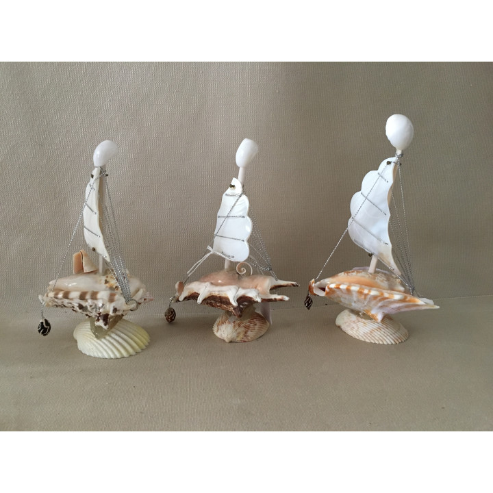 Bateau base Lambis/Strombe 1 Voile Nacré lot de 12