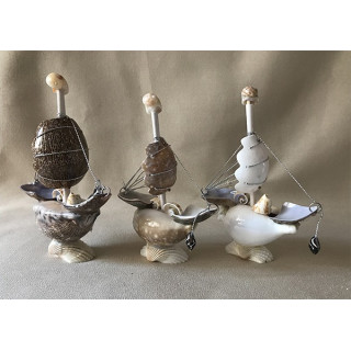 Boat 2 Cypraea Sails 12cm lot of 12