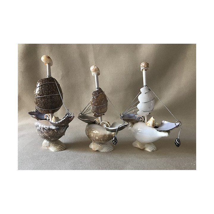 Boat 2 Cypraea Sails 12cm lot of 12