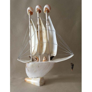 Bateau Cymbiola 3 Voiles Nacré 30cm lot de 6