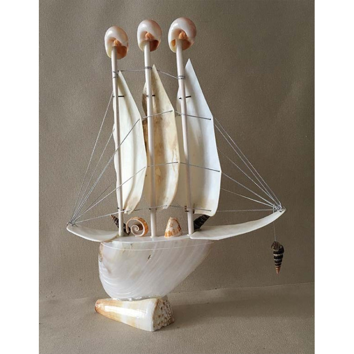 Bateau Cymbiola 3 Voiles Nacré 30cm lot de 6