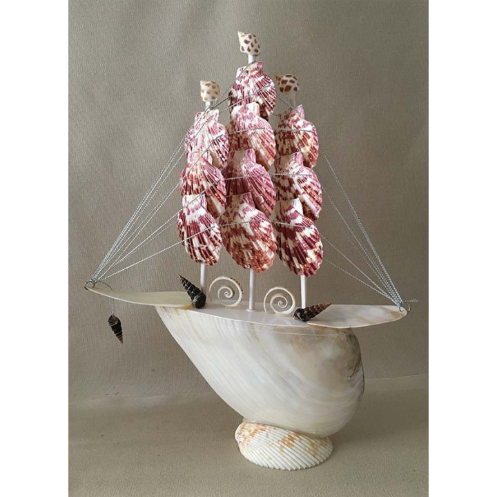 Bateau Voiles Pecten 30cm lot de 6