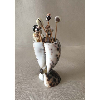 Cypraea Tigris Porte Piques 7cm lot de 12