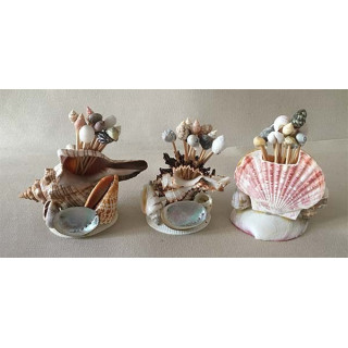 Porte Piques dans coquillages assortis lot de 12