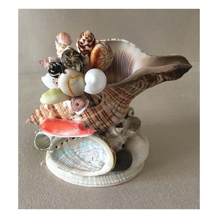 Porte Piques dans Fasciolaria 13 cm par 6