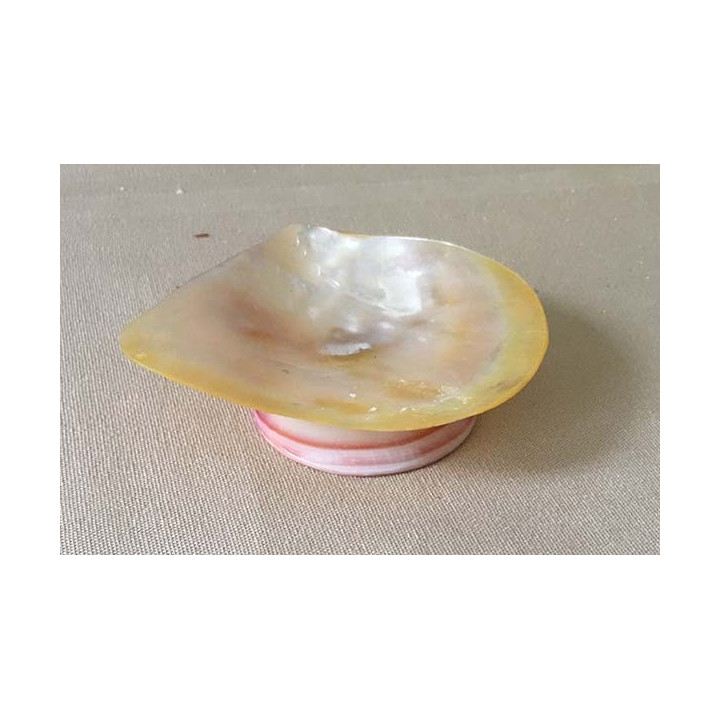 Mini Cup Nacrée 10cm On Foot lot of 3