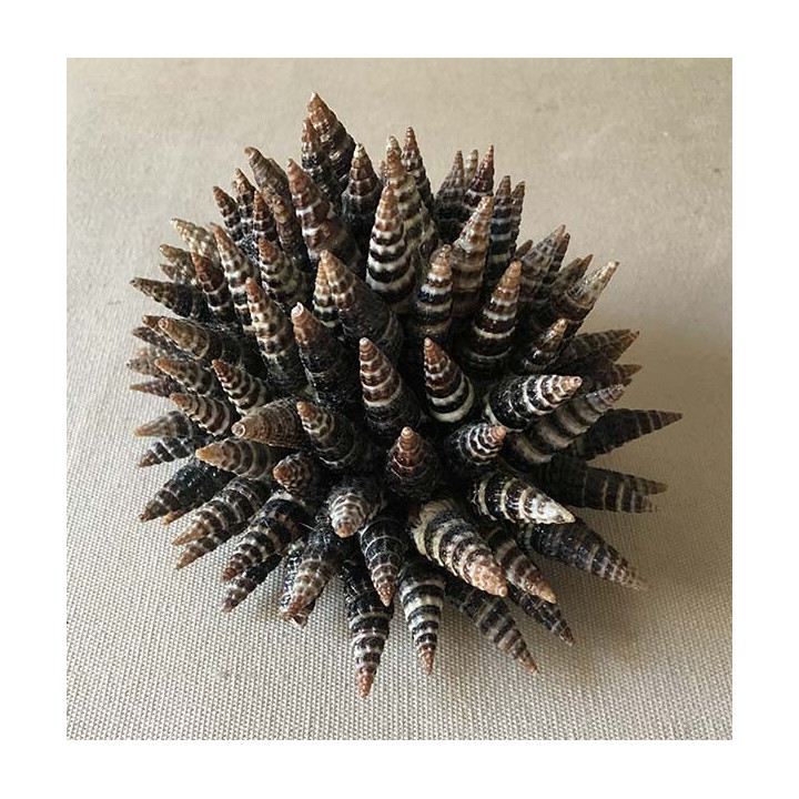 Boule Déco "Hérisson" 11cm lot de 6