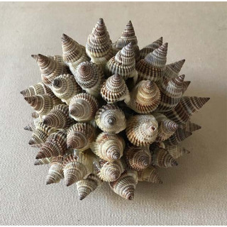 Boule Déco "Hérisson" lot de 6