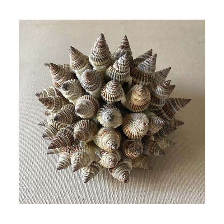 Boule Déco "Hérisson" lot de 6