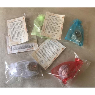 Rough Turbo with Operculum, fabric pouch and legend of St Lucia by 12