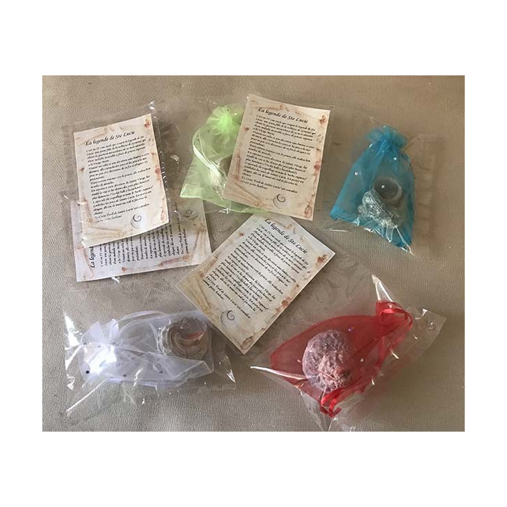 Rough Turbo with Operculum, fabric pouch and legend of St Lucia by 12