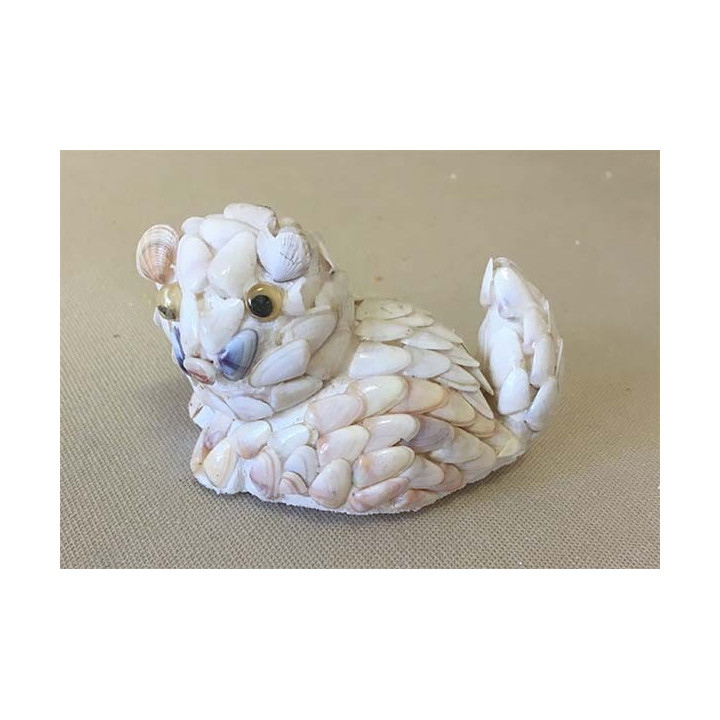 Cat Lying Shells 7cm by 10