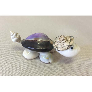 Tortue Chapeau/Caputt Violette lot de 50