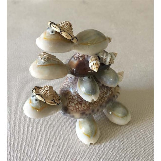Tortue Triple 8cm lot de 24